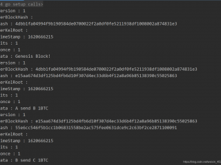 go语言区块链实战实现简单的区块与区块链