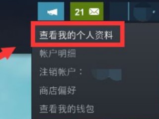 steam怎么隐藏个人游戏动态？steam隐藏个人游戏动态方法